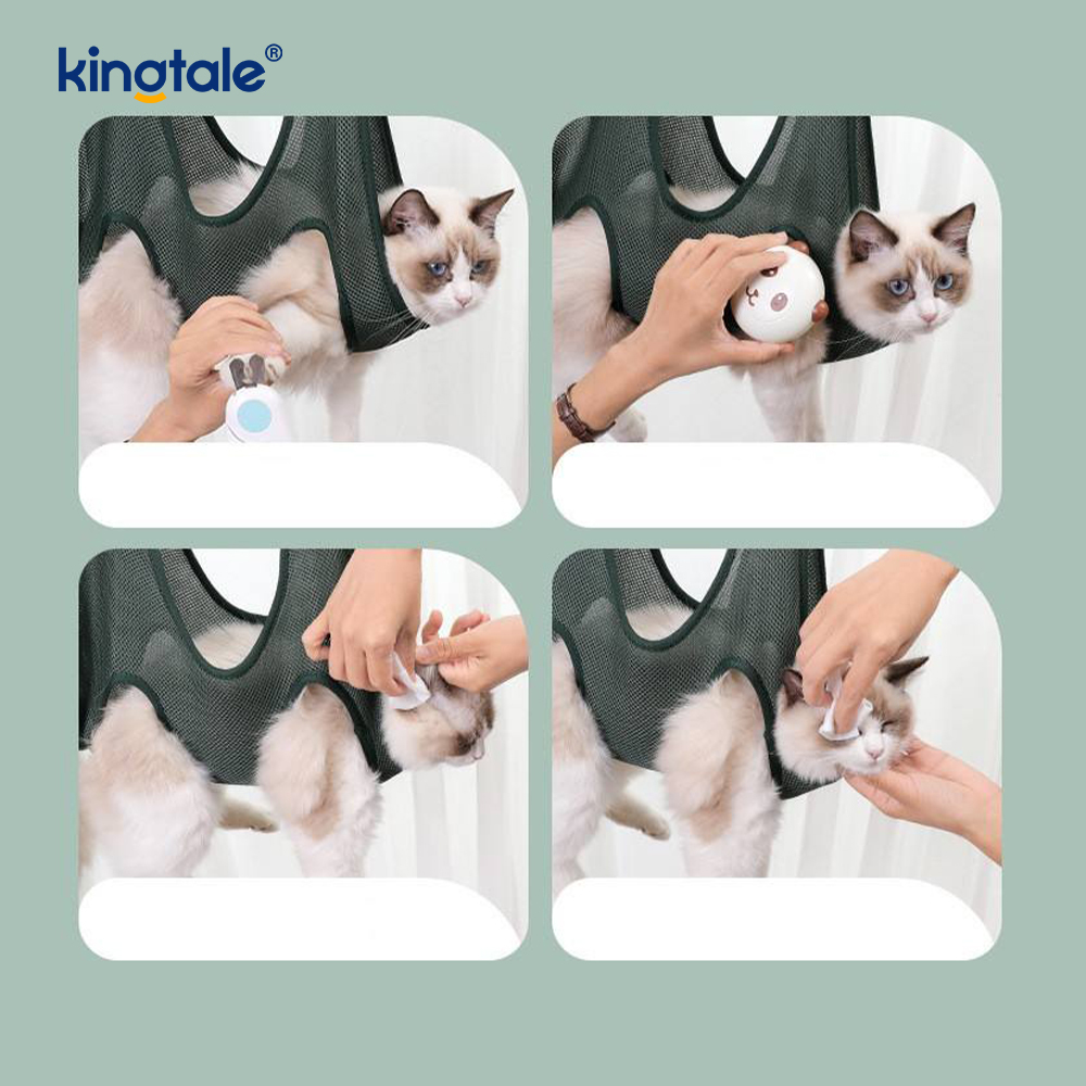 Võng chải lông cho thú cưng có kéo cắt móng tay/kéo cắt móng tay/kéo chải lông