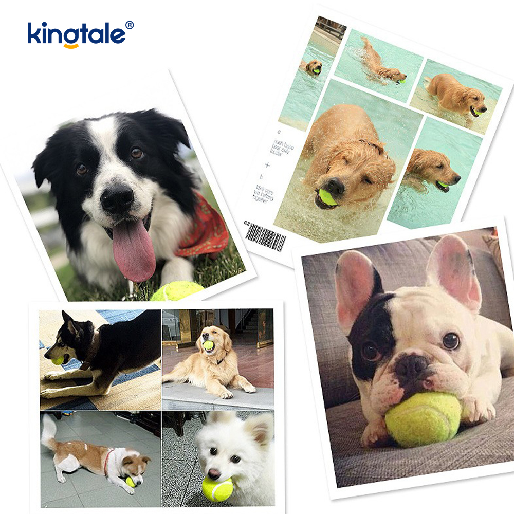 Pet Toy Tennis Bền và chống cắn cho Pet Chew Tập thể dục Tương tác