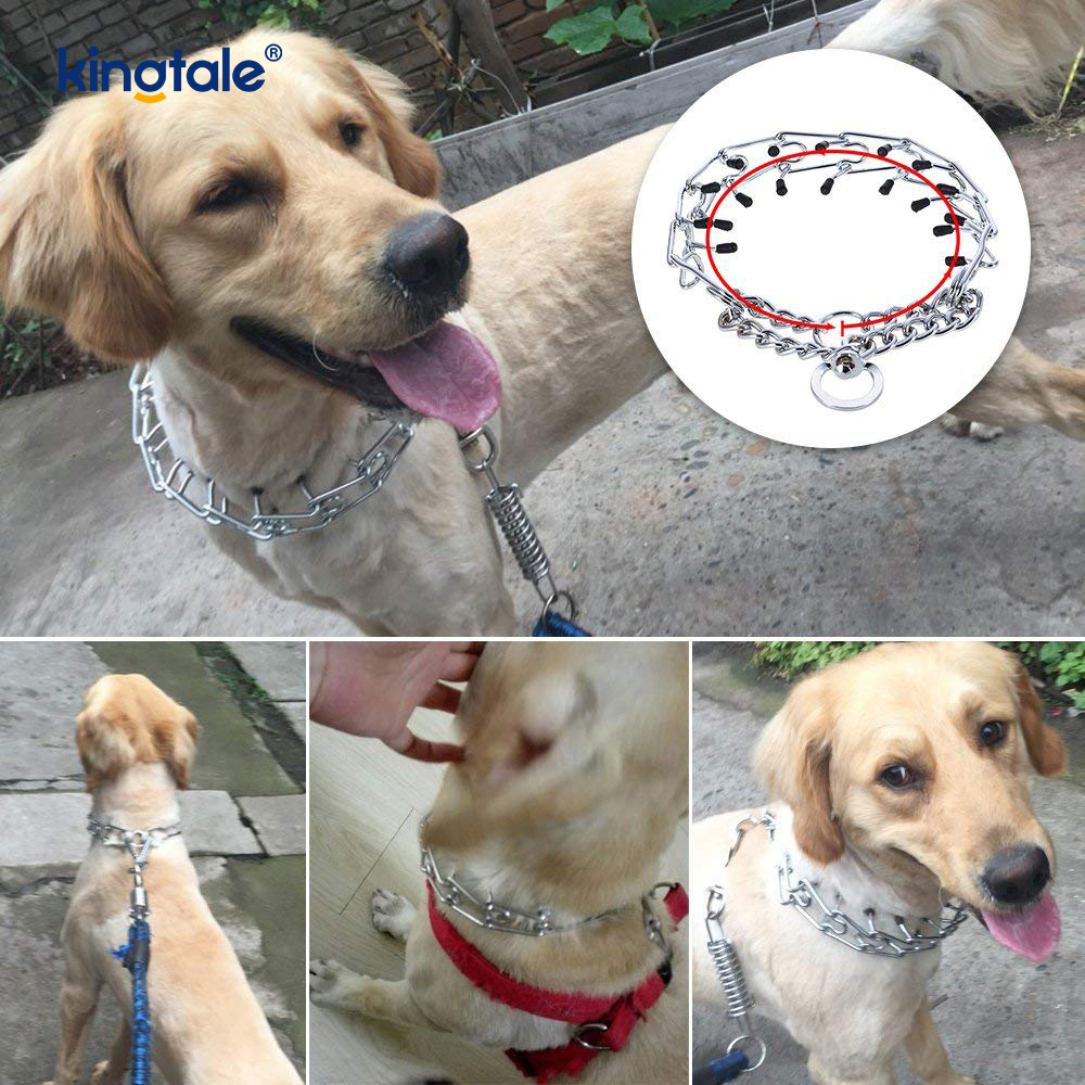 Vòng cổ Pet Pinch Choke Vòng cổ huấn luyện chó bằng kim loại bằng thép carbon