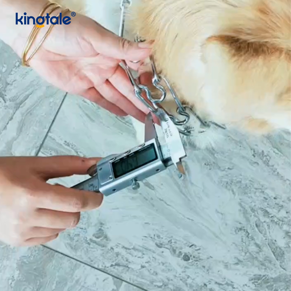 Vòng cổ Pet Pinch Choke Vòng cổ huấn luyện chó bằng kim loại bằng thép carbon