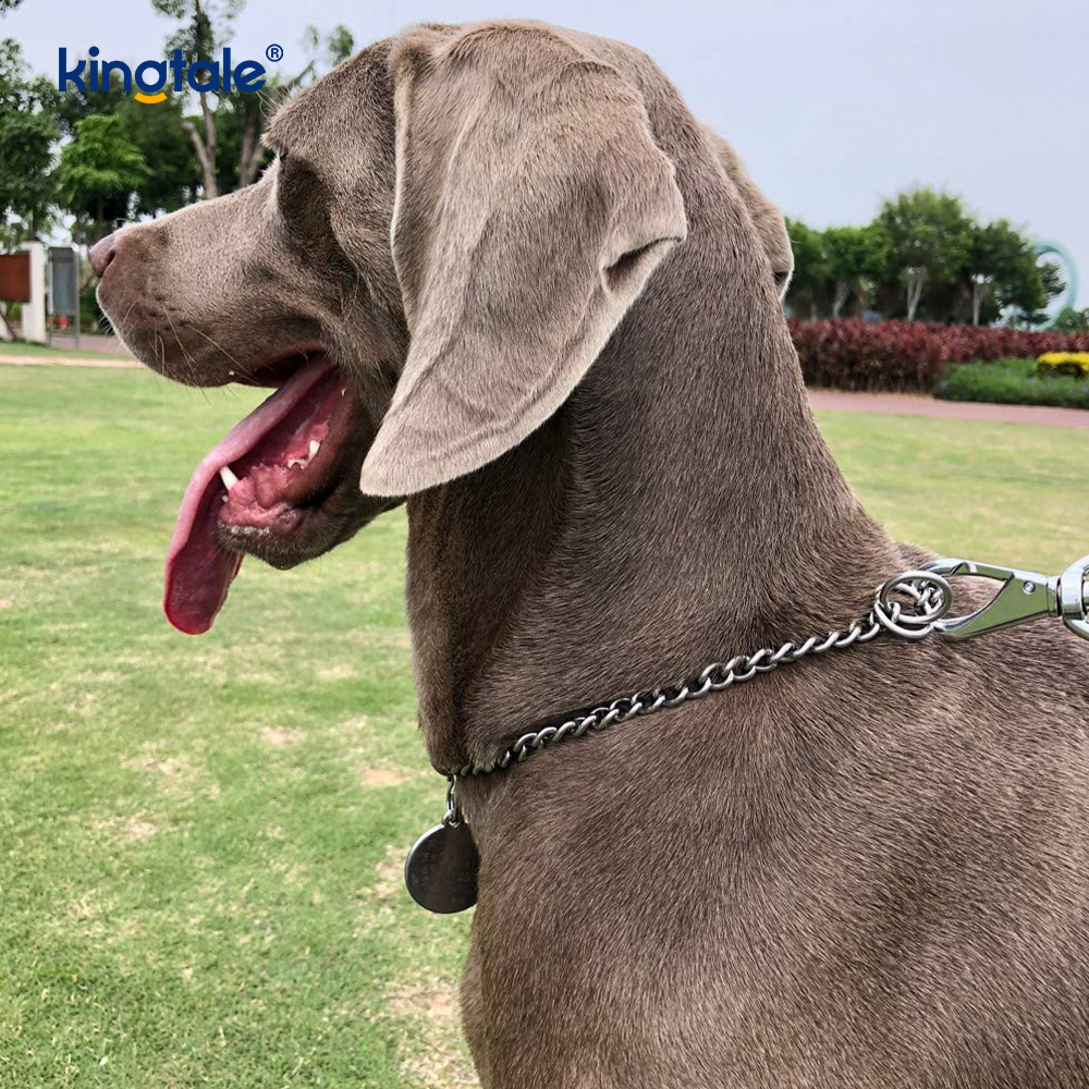 Huấn luyện chó bằng kim loại Choke Collar Slip P Chain Chuỗi nặng cho chó