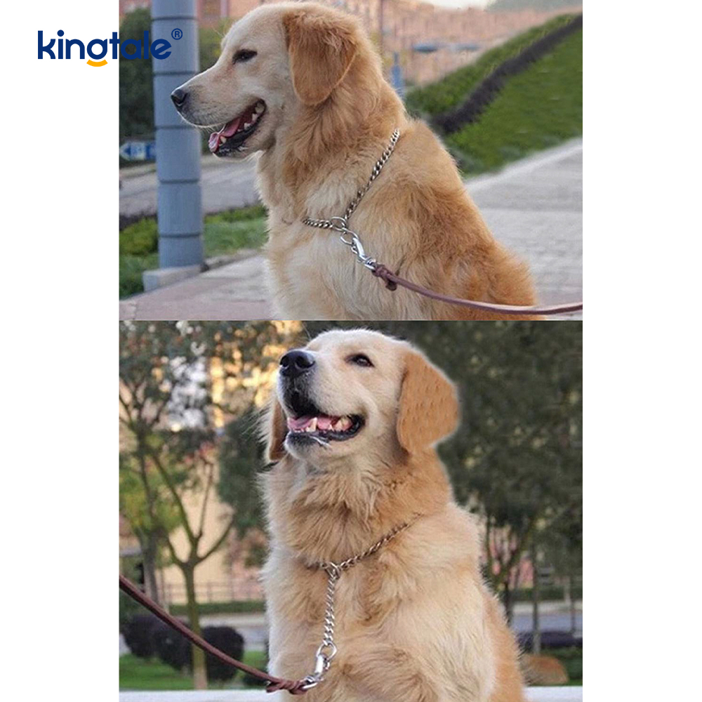 Huấn luyện chó bằng kim loại Choke Collar Slip P Chain Chuỗi nặng cho chó