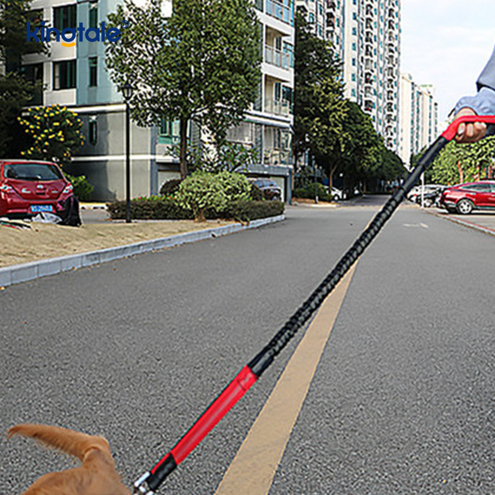 Dây xích thú cưng chạy đôi đàn hồi phản quang có túi khóa kéo