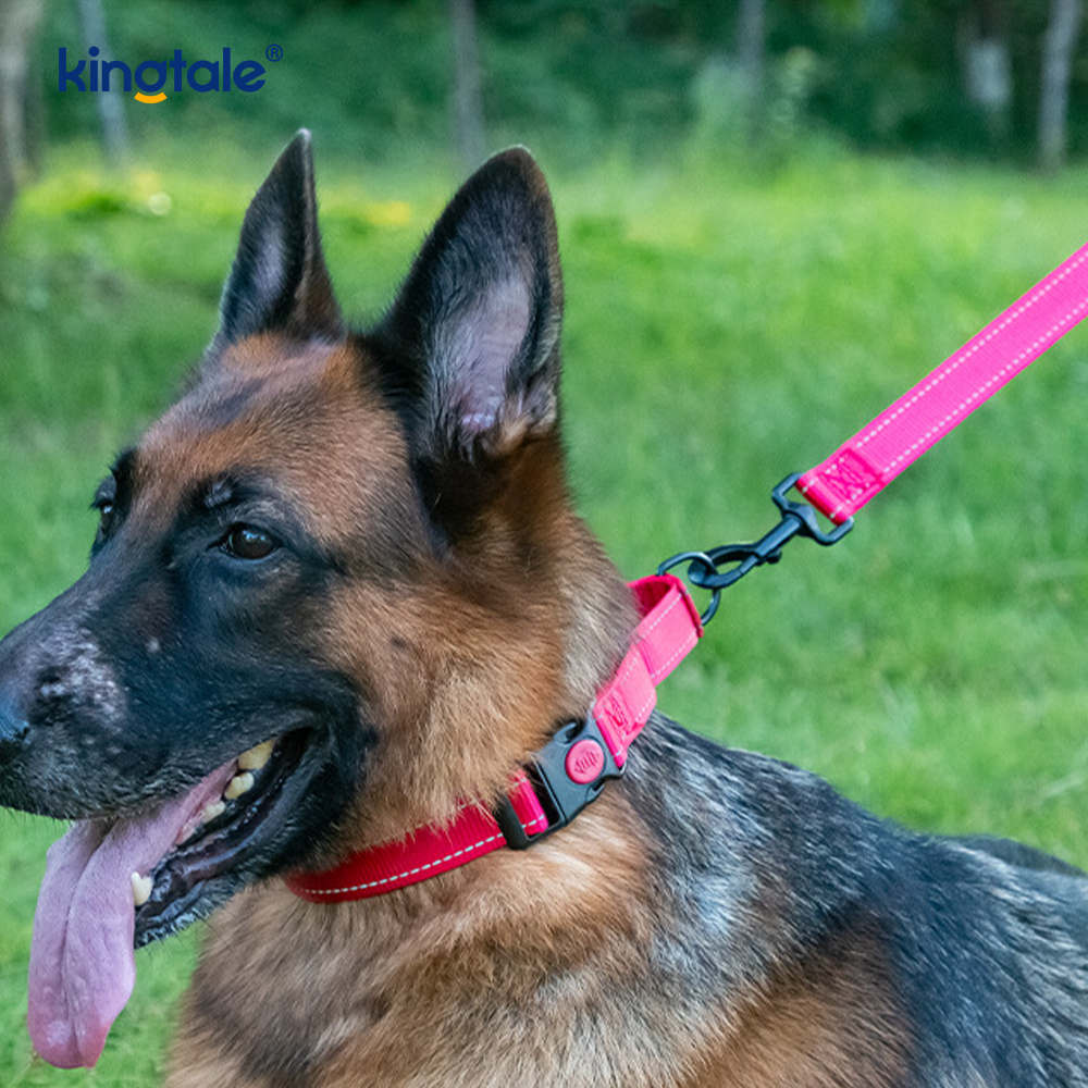 Vòng cổ chó Martingale bằng nylon có thể điều chỉnh phản quang không kéo dành cho chó S M L
