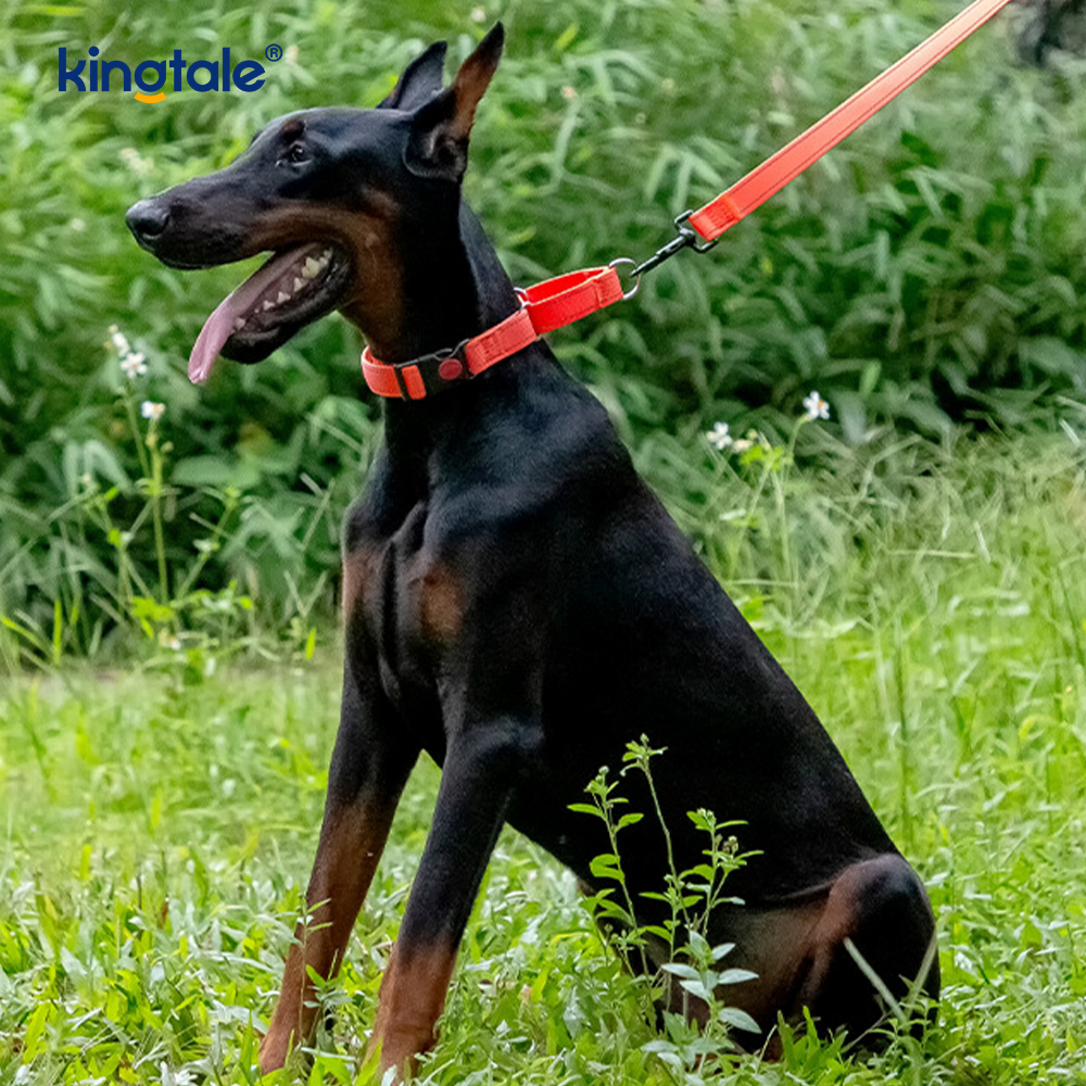 Vòng cổ chó Martingale bằng nylon có thể điều chỉnh phản quang không kéo dành cho chó S M L