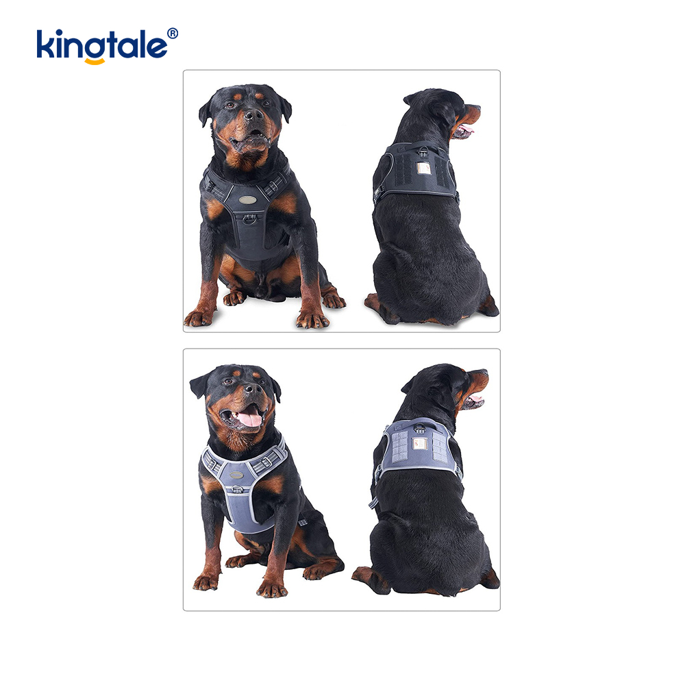 Rắn Không Kéo Nylon Heavy Duty Dog Belt Vest Huấn Luyện Khai Thác Ngực