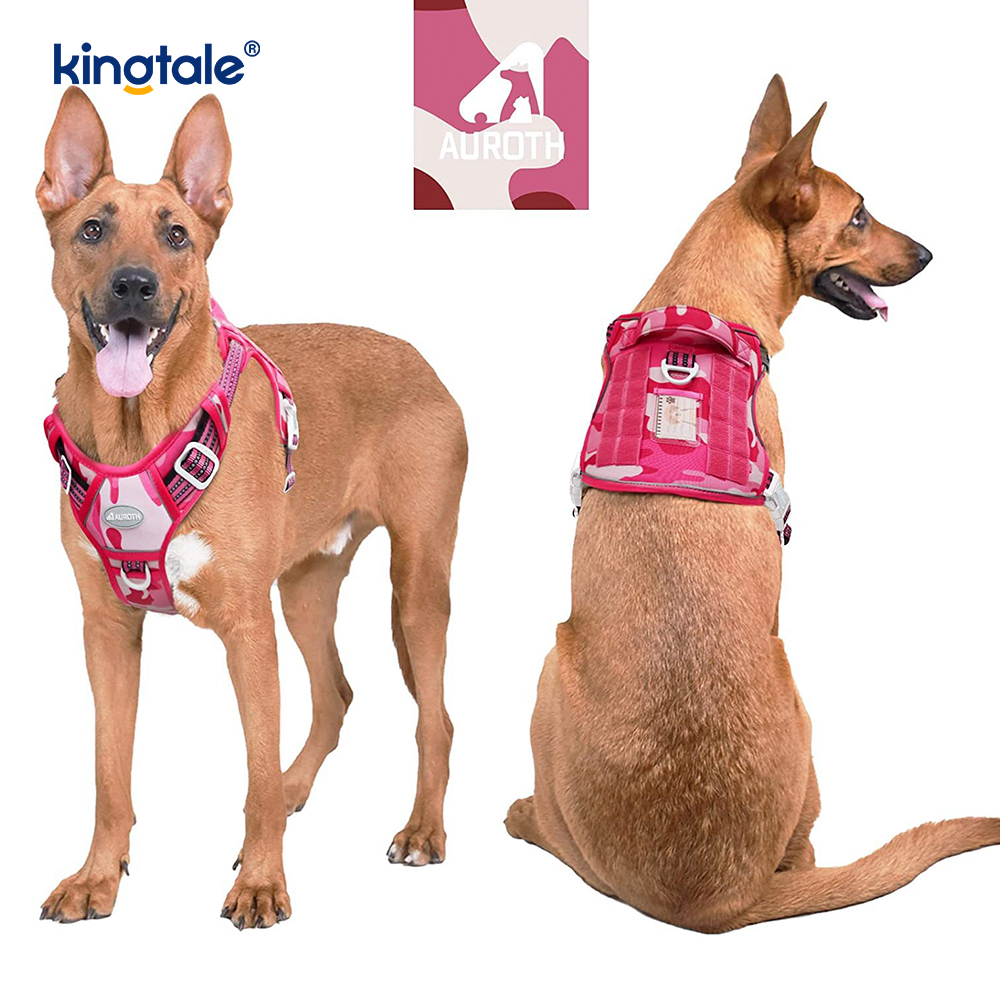 Rắn Không Kéo Nylon Heavy Duty Dog Belt Vest Huấn Luyện Khai Thác Ngực