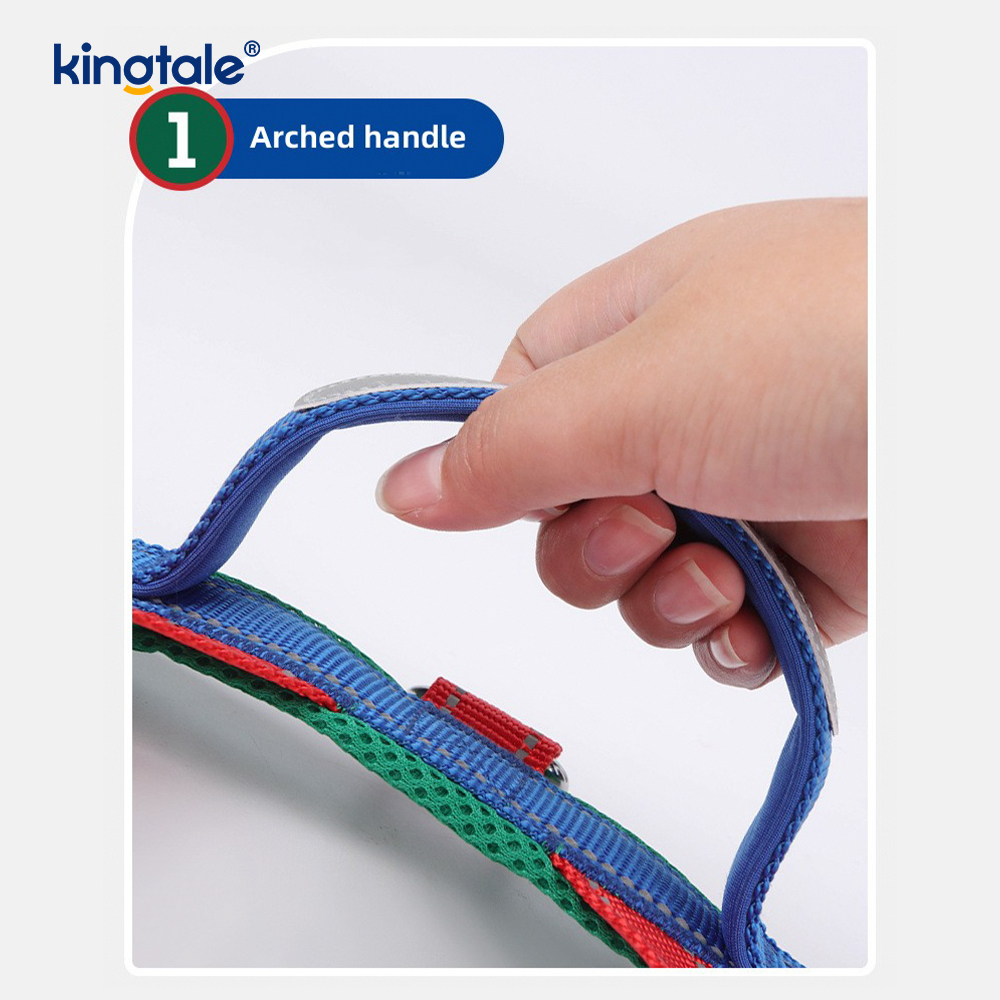 Bán buôn tùy chỉnh Bộ khai thác chó cưng bằng nylon phản quang có thể điều chỉnh được