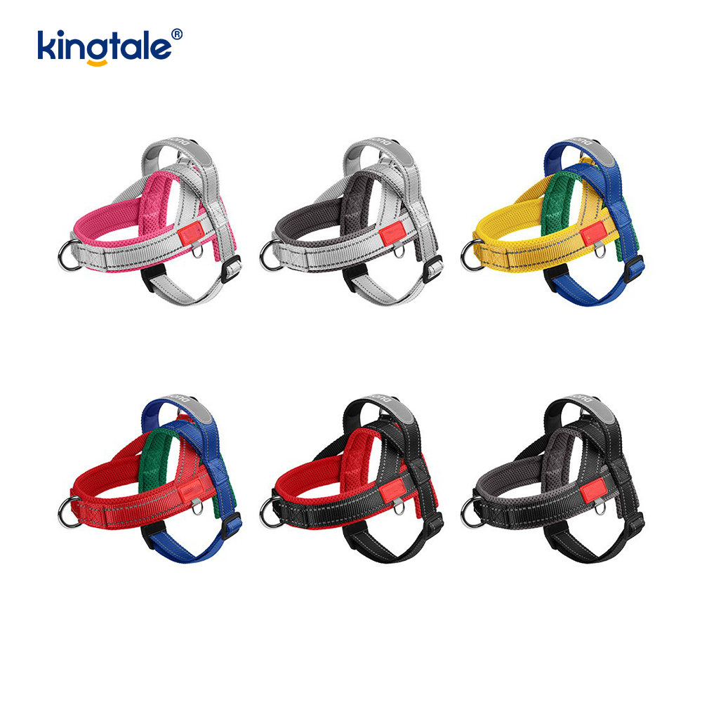 Bán buôn tùy chỉnh Bộ khai thác chó cưng bằng nylon phản quang có thể điều chỉnh được