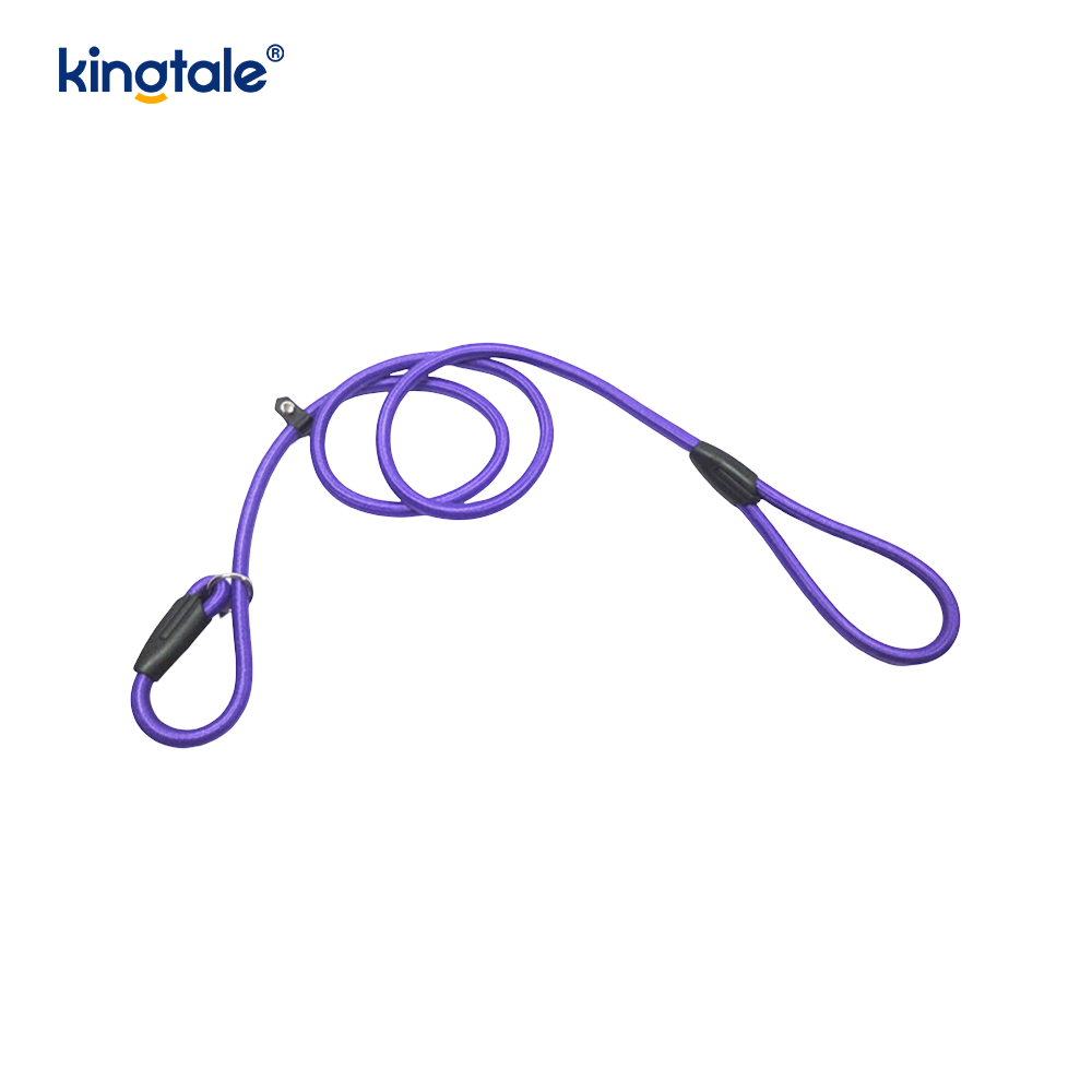 Dây dắt chó trượt Dây xích nylon chắc chắn Dây huấn luyện chó cho thú cưng