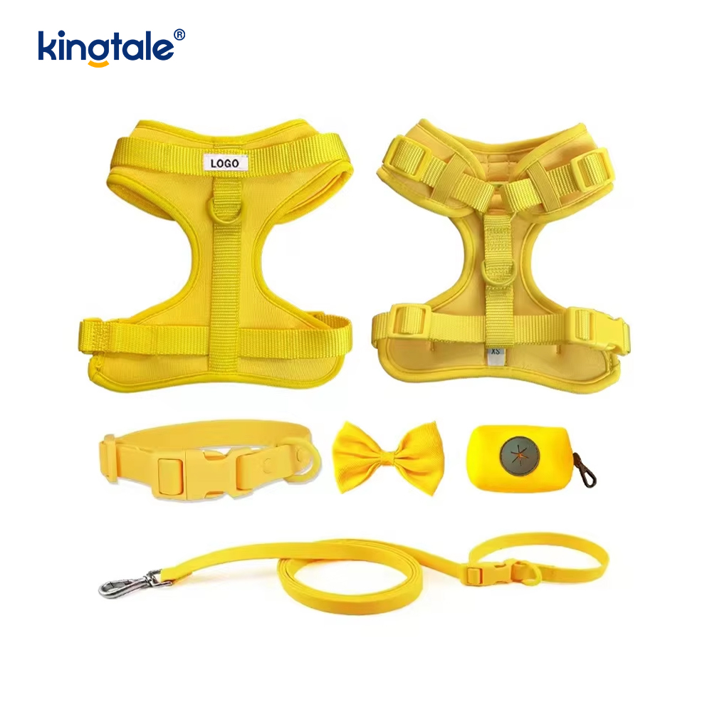 Vòng cổ dây xích chó Pvc nhẹ chống nước thời trang tùy chỉnh
