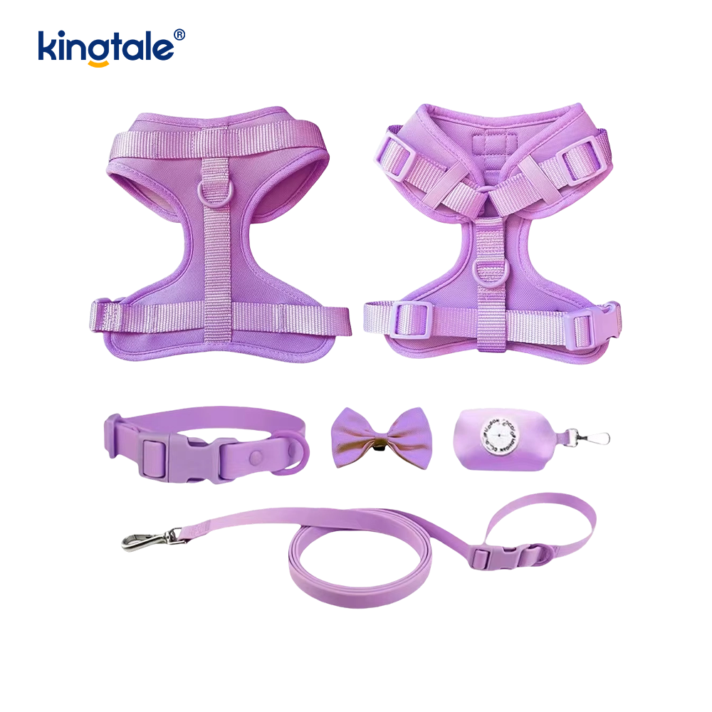 Vòng cổ dây xích chó Pvc nhẹ chống nước thời trang tùy chỉnh