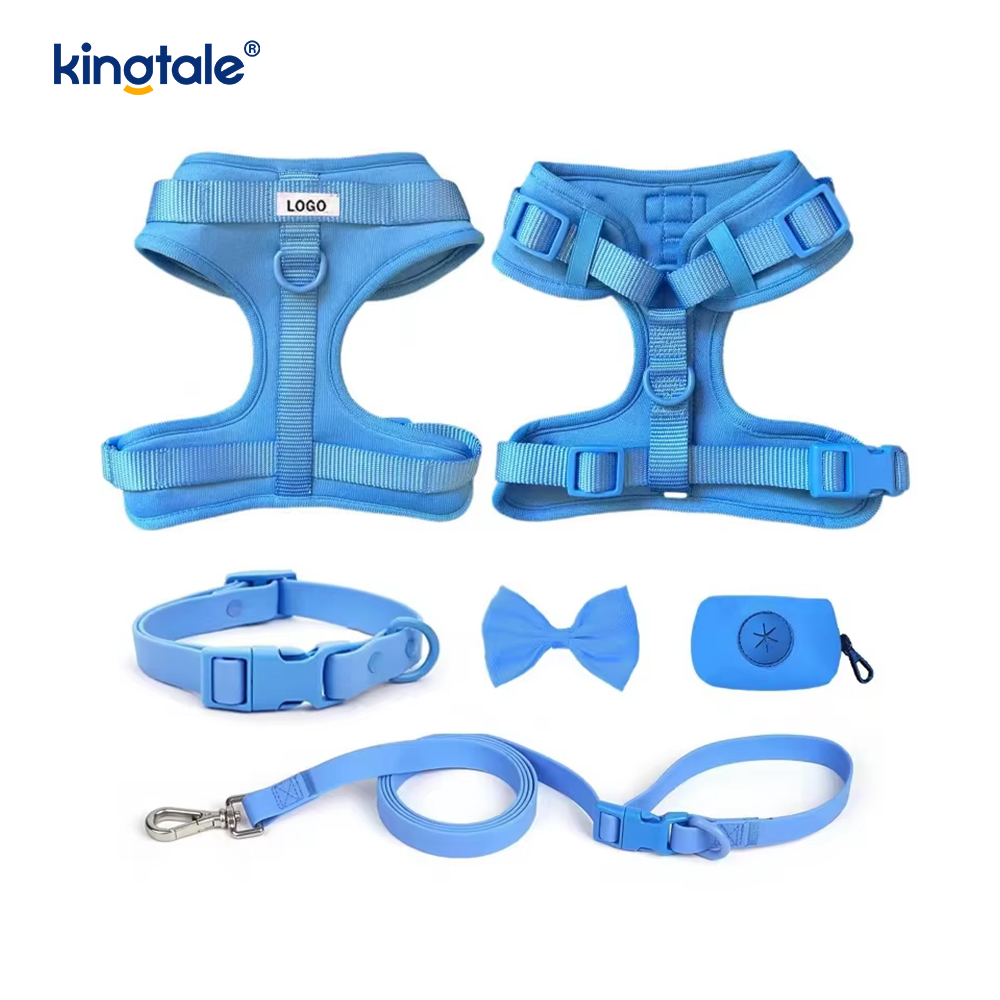 Vòng cổ dây xích chó Pvc nhẹ chống nước thời trang tùy chỉnh
