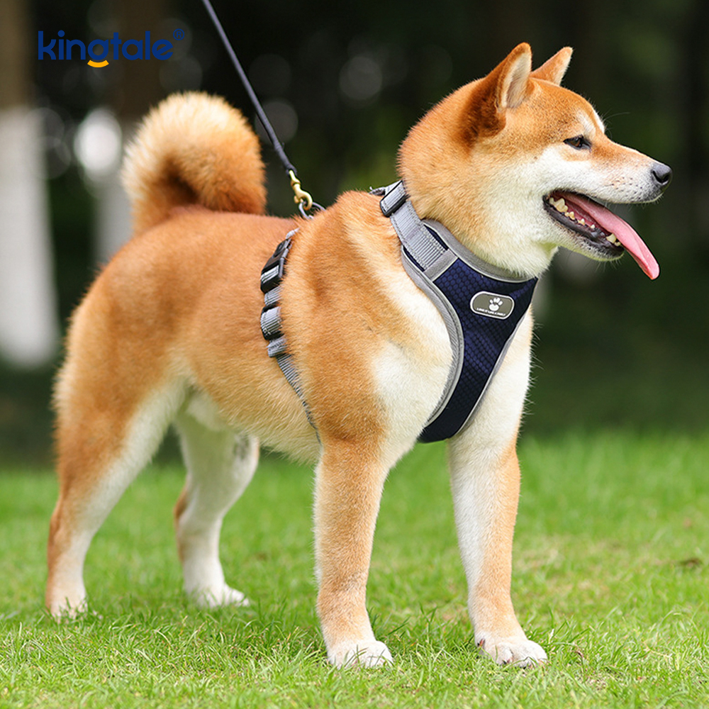 Áo vest Oxford có đệm mềm không kéo có thể điều chỉnh cho thú cưng