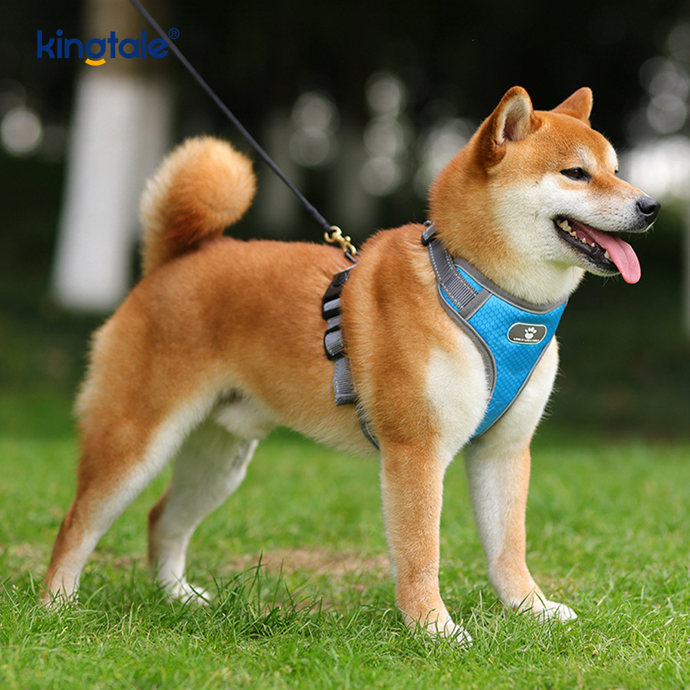 Áo vest Oxford có đệm mềm không kéo có thể điều chỉnh cho thú cưng