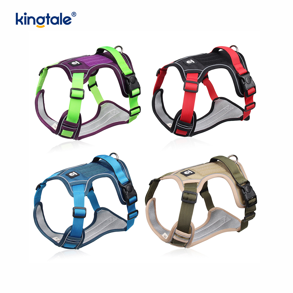 Dây nịt thể thao thoáng khí có thể điều chỉnh bằng đinh tán nylon có dây xích chó