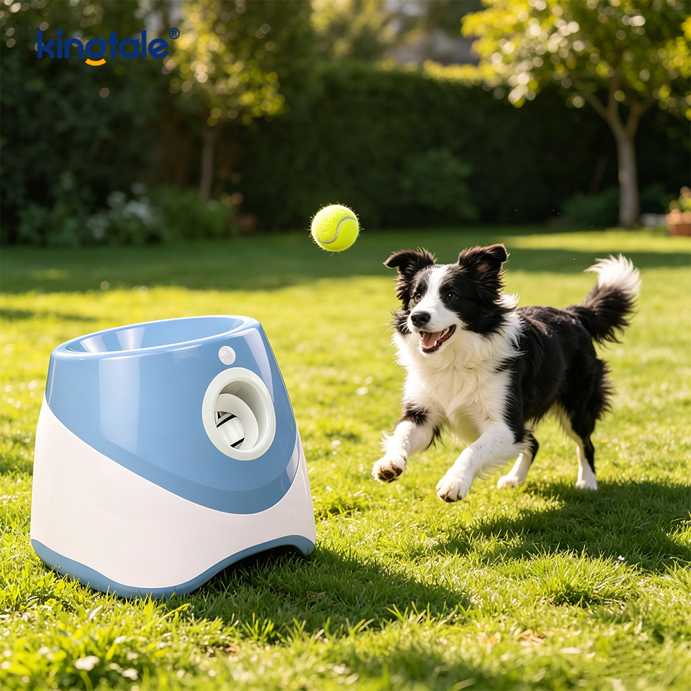 Máy phóng bóng tự động với 3 quả bóng tennis mini Đồ chơi cho chó ngoài trời
