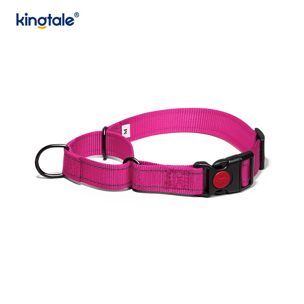 Phát hành nhanh Không kéo Vòng cổ chó Martingale có thể điều chỉnh phản quang