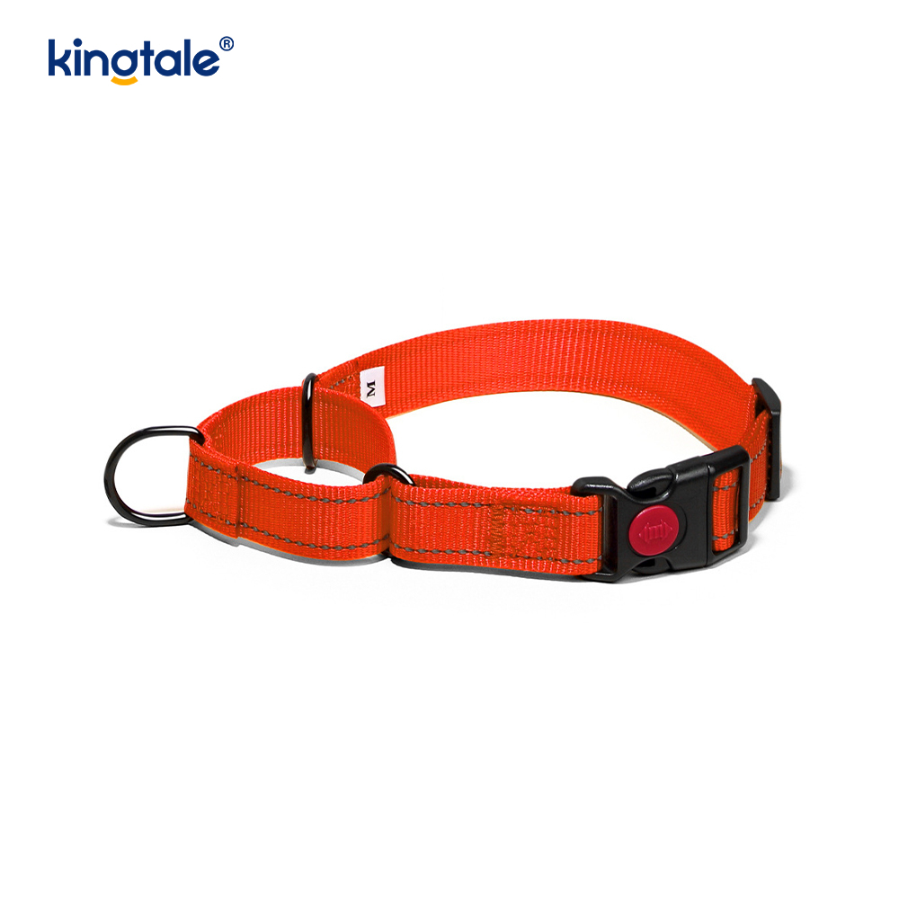 Phát hành nhanh Không kéo Vòng cổ chó Martingale có thể điều chỉnh phản quang
