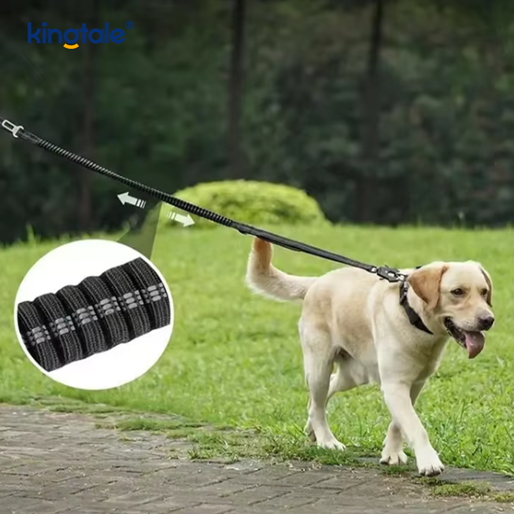 Dây Xích An Toàn Nylon Phản Quang Đệm Đàn Hồi Ngồi Ô Tô Cho Chó Rắn
