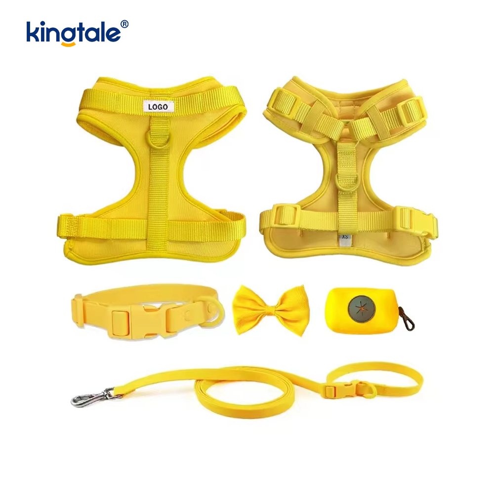 PVC chống thấm nước Không kéo Dây xích chó nhẹ